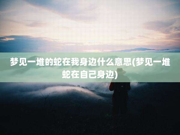 梦见一堆的蛇在我身边什么意思(梦见一堆蛇在自己身边)