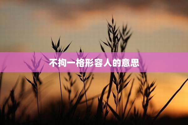 不拘一格形容人的意思