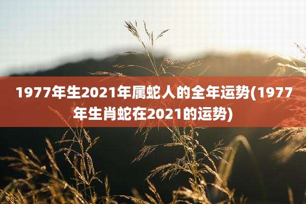 1977年生2021年属蛇人的全年运势(1977年生肖蛇在2021的运势)
