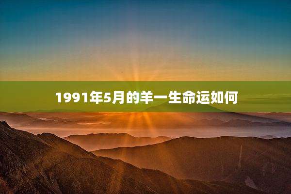 1991年5月的羊一生命运如何