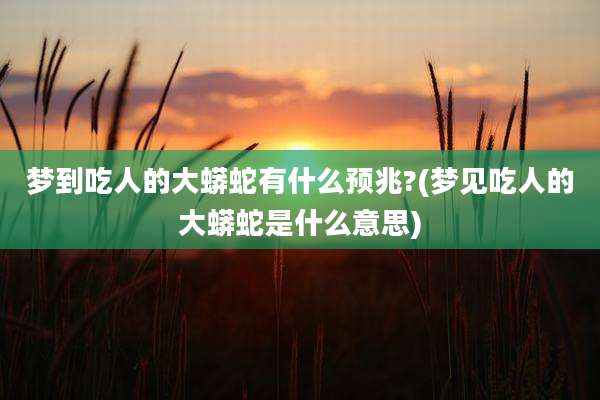 梦到吃人的大蟒蛇有什么预兆?(梦见吃人的大蟒蛇是什么意思)