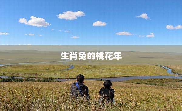 生肖兔的桃花年