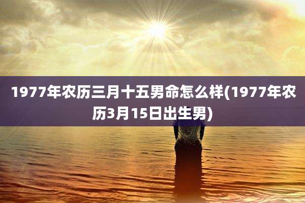 1977年农历三月十五男命怎么样(1977年农历3月15日出生男)
