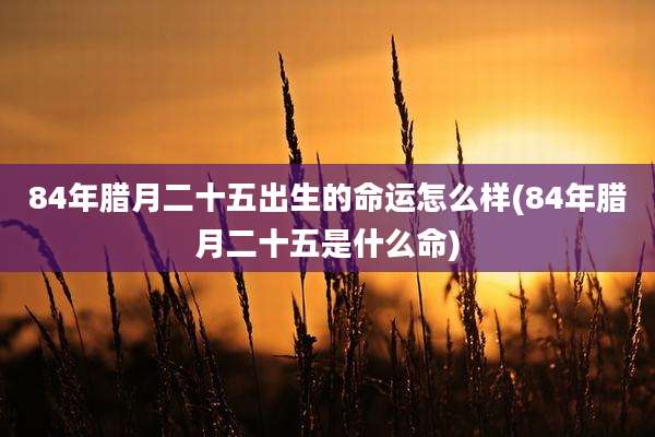 84年腊月二十五出生的命运怎么样(84年腊月二十五是什么命)