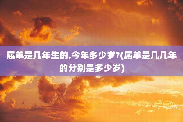 属羊是几年生的,今年多少岁?(属羊是几几年的分别是多少岁)