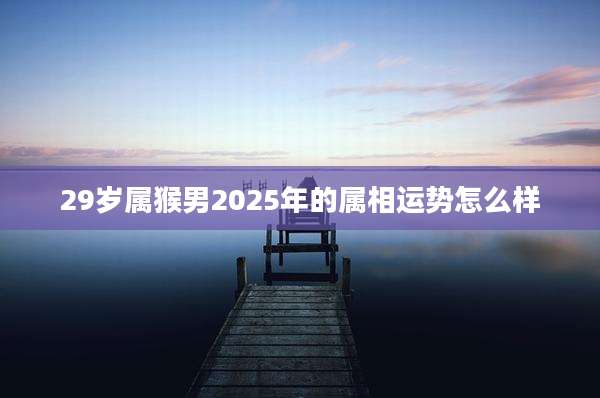 29岁属猴男2025年的属相运势怎么样