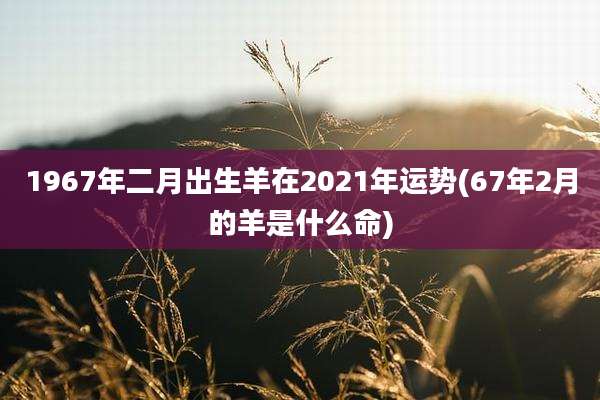 1967年二月出生羊在2021年运势(67年2月的羊是什么命)
