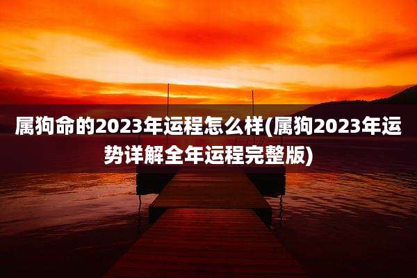属狗命的2023年运程怎么样(属狗2023年运势详解全年运程完整版)