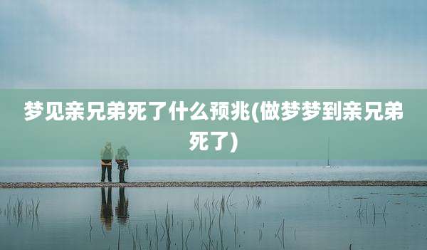 梦见亲兄弟死了什么预兆(做梦梦到亲兄弟死了)
