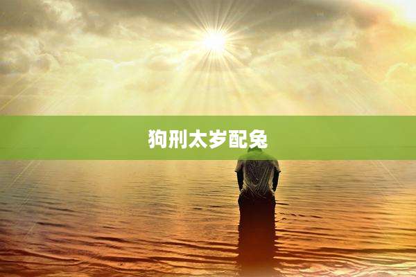 狗刑太岁配兔