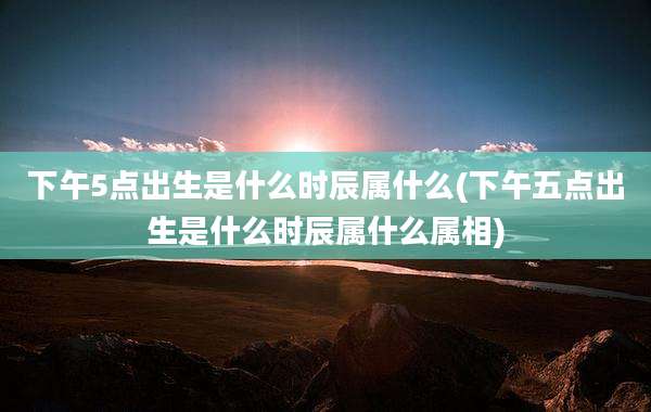 下午5点出生是什么时辰属什么(下午五点出生是什么时辰属什么属相)