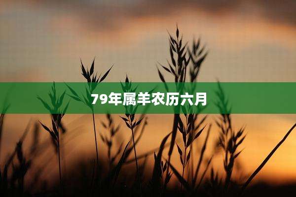 79年属羊农历六月