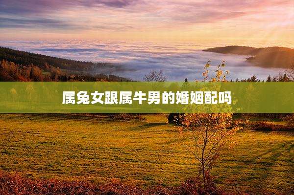 属兔女跟属牛男的婚姻配吗