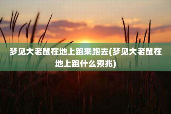 梦见大老鼠在地上跑来跑去(梦见大老鼠在地上跑什么预兆)