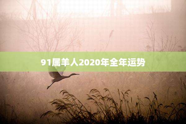 91属羊人2020年全年运势