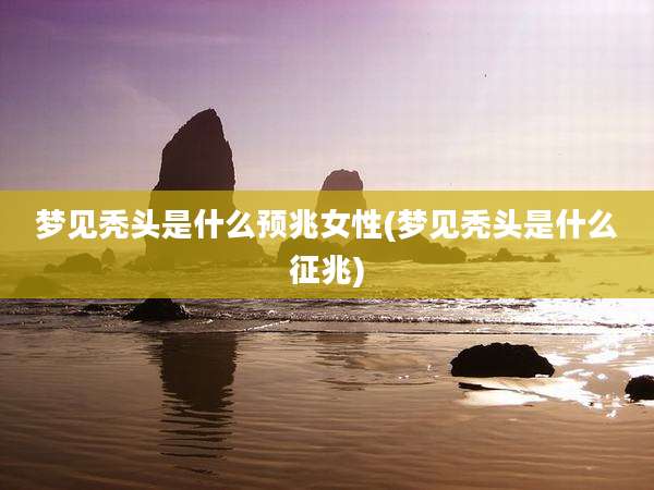梦见秃头是什么预兆女性(梦见秃头是什么征兆)