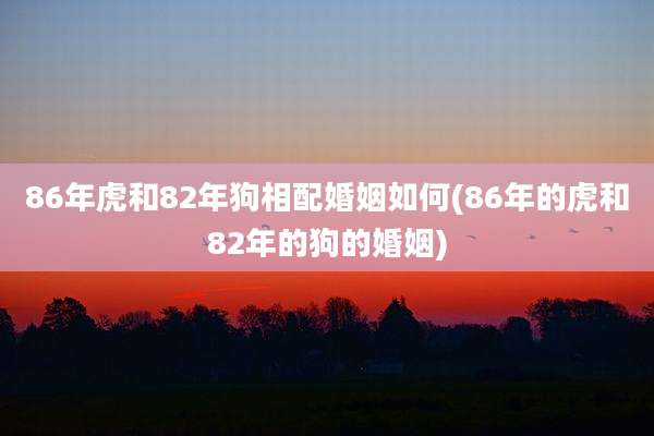 86年虎和82年狗相配婚姻如何(86年的虎和82年的狗的婚姻)