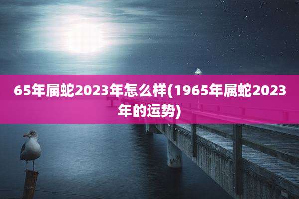 65年属蛇2023年怎么样(1965年属蛇2023年的运势)