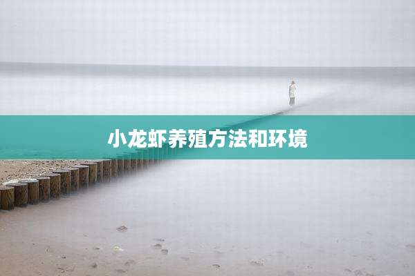 小龙虾养殖方法和环境