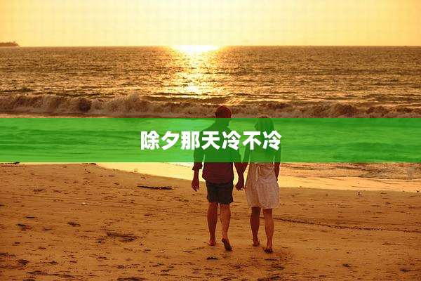 除夕那天冷不冷