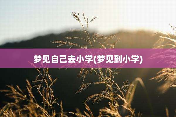 梦见自己去小学(梦见到小学)