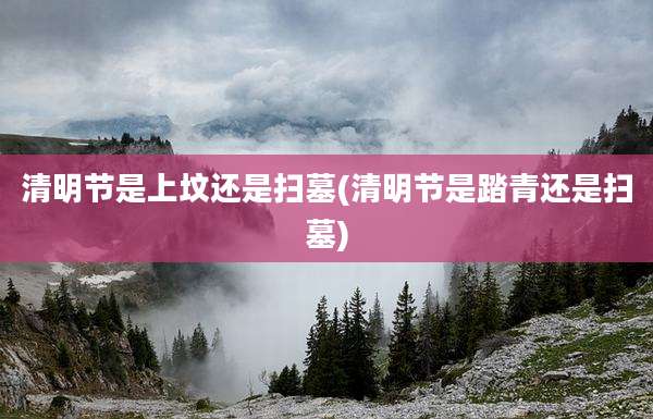 清明节是上坟还是扫墓(清明节是踏青还是扫墓)