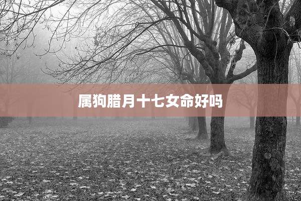 属狗腊月十七女命好吗