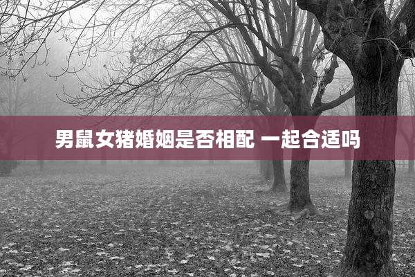 男鼠女猪婚姻是否相配 一起合适吗