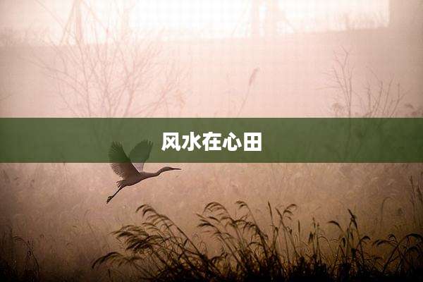 风水在心田