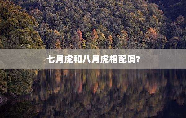 七月虎和八月虎相配吗?