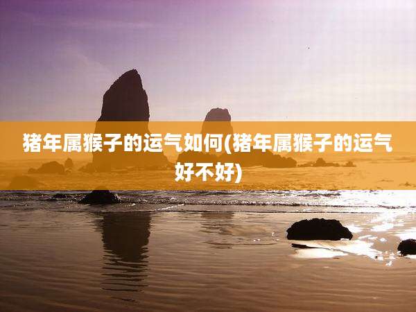 猪年属猴子的运气如何(猪年属猴子的运气好不好)