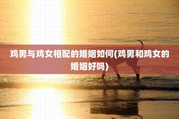 鸡男与鸡女相配的婚姻如何(鸡男和鸡女的婚姻好吗)