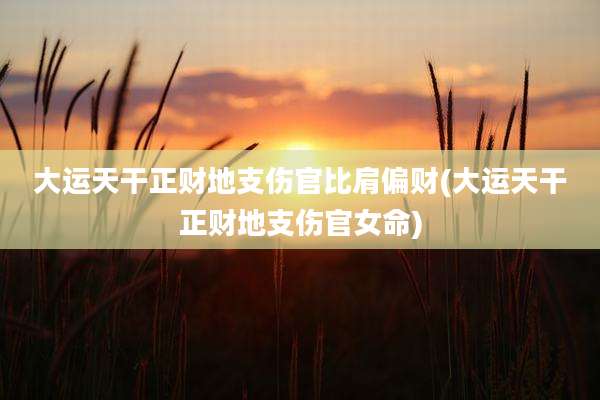 大运天干正财地支伤官比肩偏财(大运天干正财地支伤官女命)