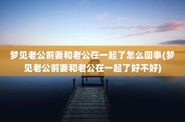 梦见老公前妻和老公在一起了怎么回事(梦见老公前妻和老公在一起了好不好)