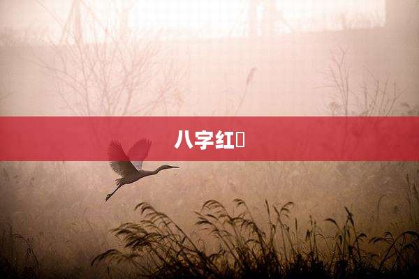 八字红豔