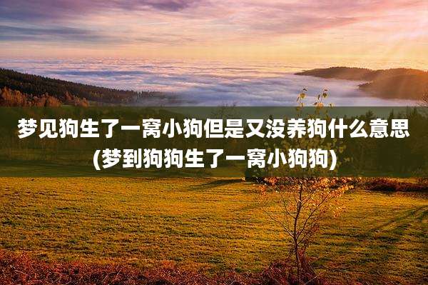 梦见狗生了一窝小狗但是又没养狗什么意思(梦到狗狗生了一窝小狗狗)