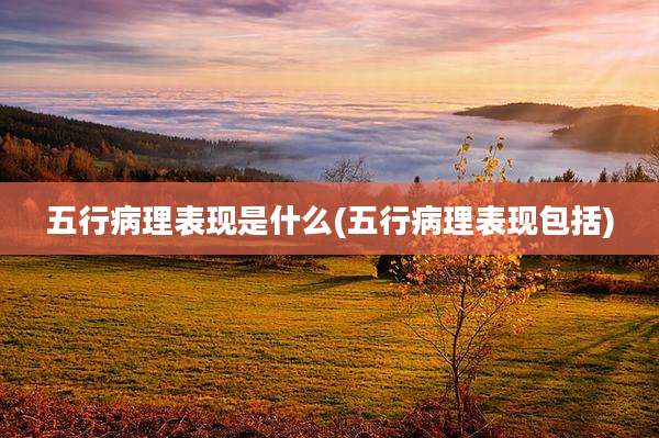 五行病理表现是什么(五行病理表现包括)