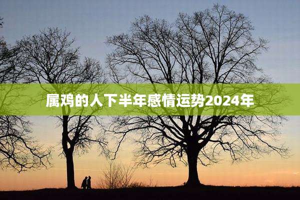 属鸡的人下半年感情运势2024年