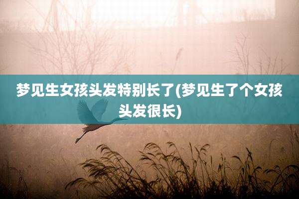 梦见生女孩头发特别长了(梦见生了个女孩头发很长)