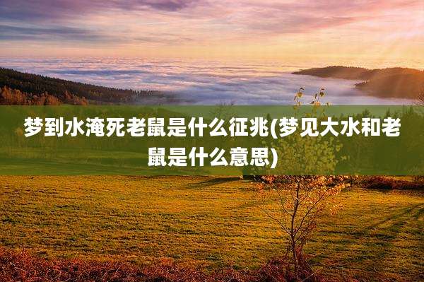 梦到水淹死老鼠是什么征兆(梦见大水和老鼠是什么意思)