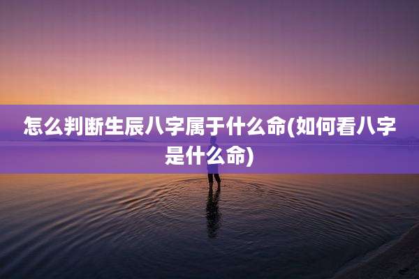 怎么判断生辰八字属于什么命(如何看八字是什么命)