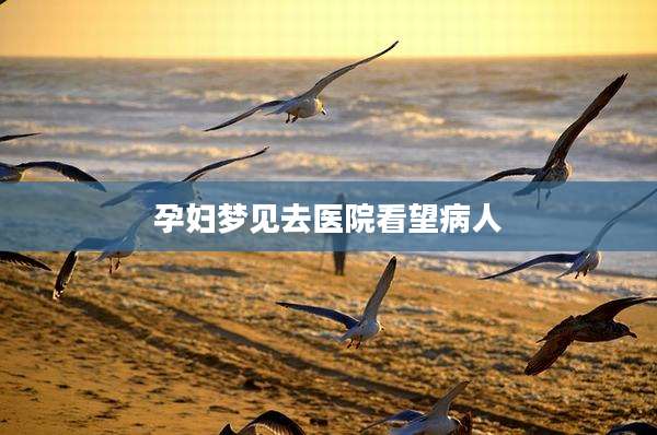 孕妇梦见去医院看望病人