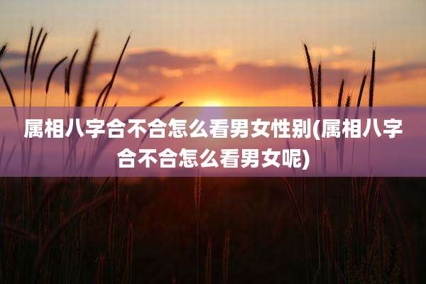 属相八字合不合怎么看男女性别(属相八字合不合怎么看男女呢)