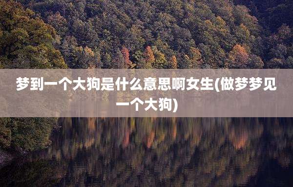梦到一个大狗是什么意思啊女生(做梦梦见一个大狗)