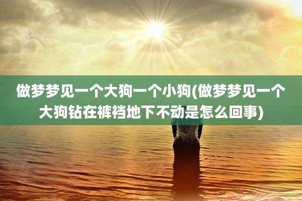 做梦梦见一个大狗一个小狗(做梦梦见一个大狗钻在裤裆地下不动是怎么回事)