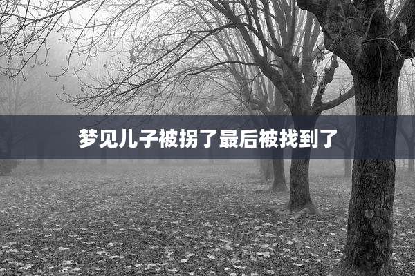 梦见儿子被拐了最后被找到了
