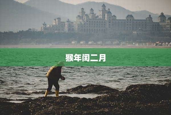 猴年闰二月