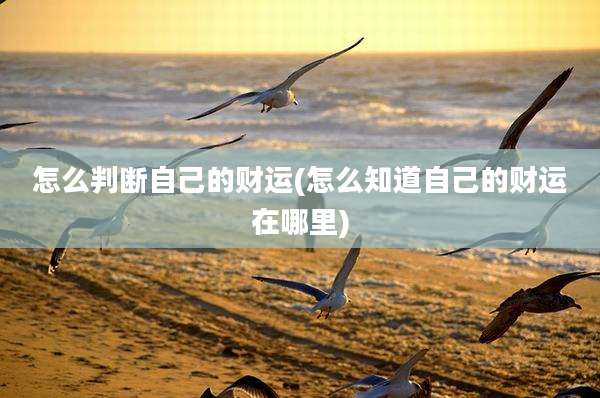 怎么判断自己的财运(怎么知道自己的财运在哪里)
