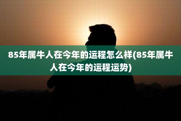 85年属牛人在今年的运程怎么样(85年属牛人在今年的运程运势)