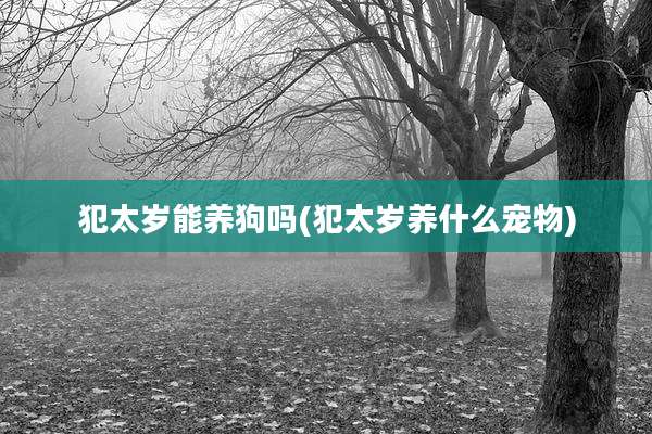 犯太岁能养狗吗(犯太岁养什么宠物)